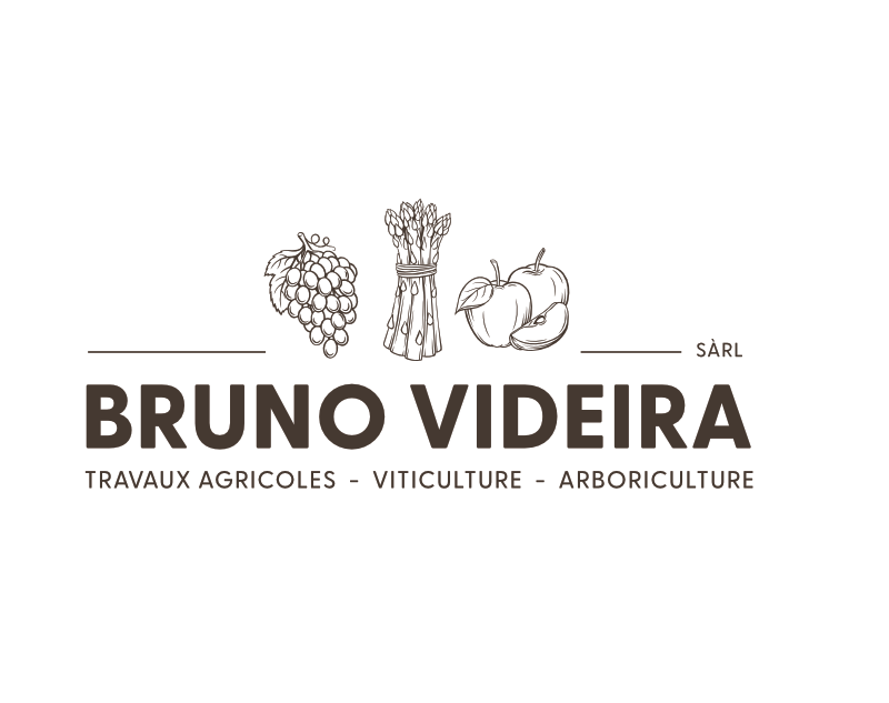 Bruno Videira Sàrl - travaux agricoles, viticulture, arboriculture